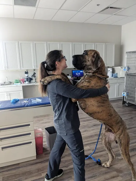 Hometown Veterinary Partners Myrtle Beach 4