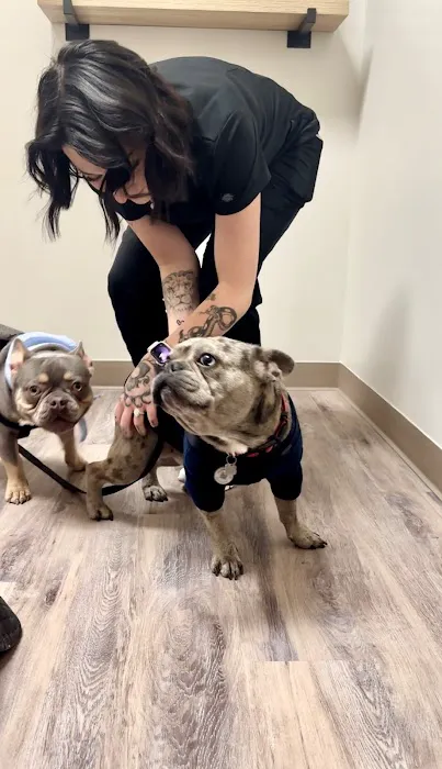 Hometown Veterinary Partners Myrtle Beach 9