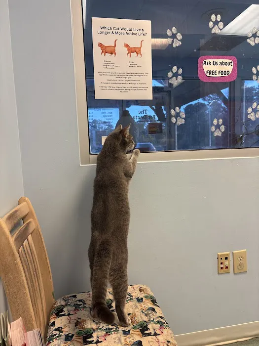 Pet Doctor 2