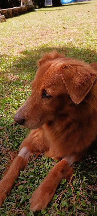 Conway Animal Hospital 3