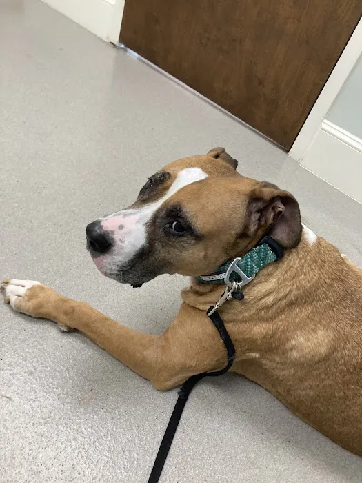 Conway Animal Hospital 6