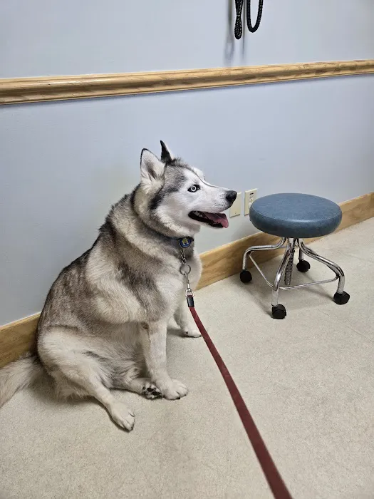 Waccamaw Regional Veterinary Center 8