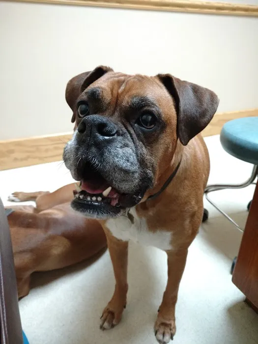 Waccamaw Regional Veterinary Center 4