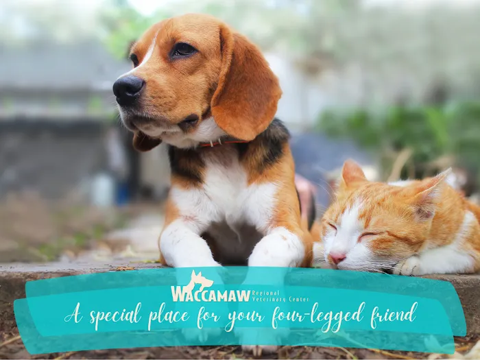 Waccamaw Regional Veterinary Center 10