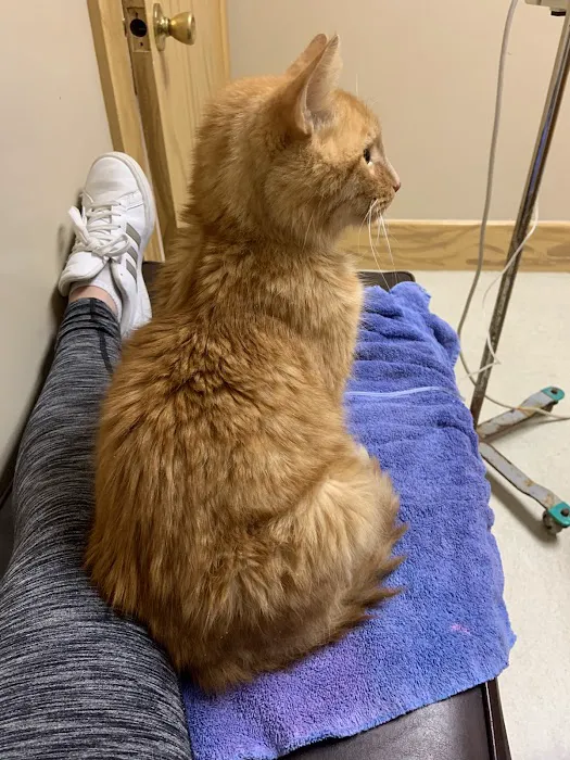 Waccamaw Regional Veterinary Center 7
