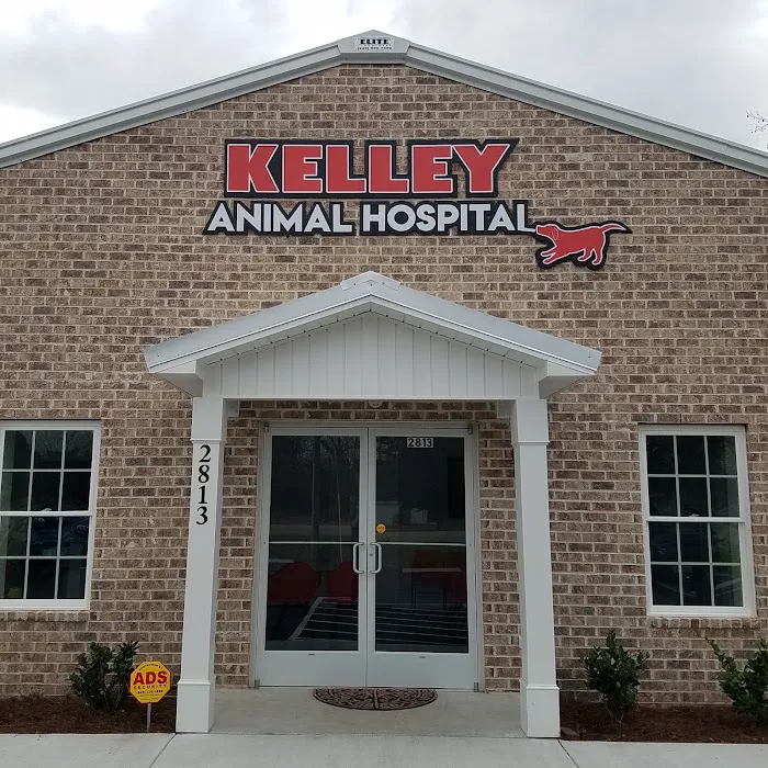 Kelley Animal Hospital 10