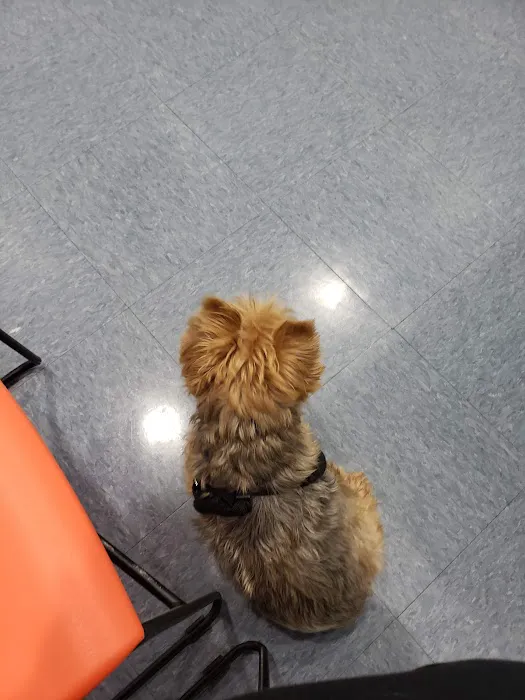 Kelley Animal Hospital 3