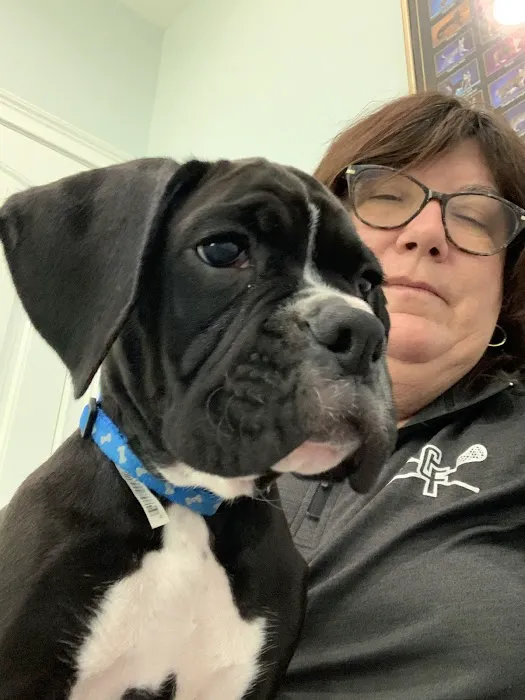 Kelley Animal Hospital 1