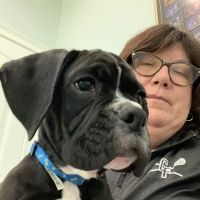 Kelley Animal Hospital ico