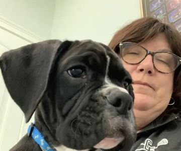 Kelley Animal Hospital