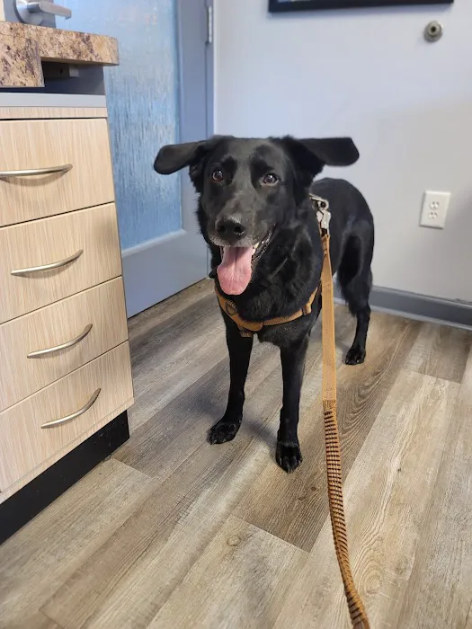 On Point Animal Hospital Surfside 5