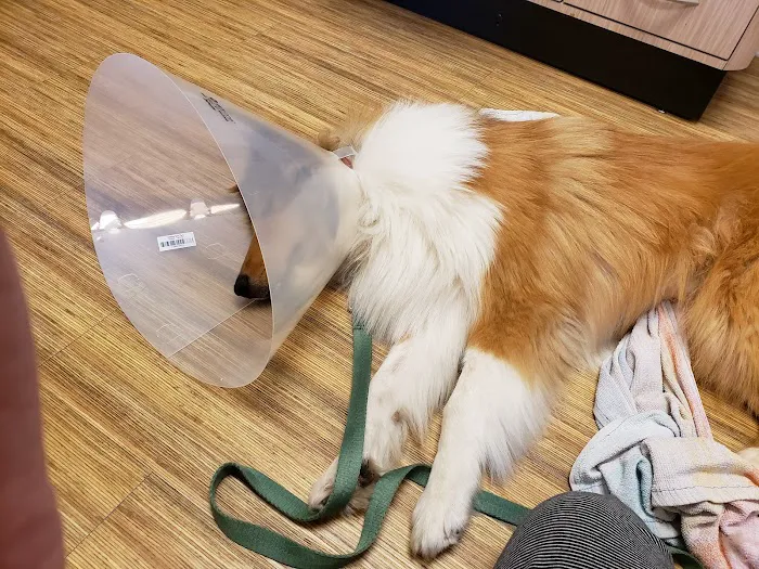 On Point Animal Hospital Surfside 6
