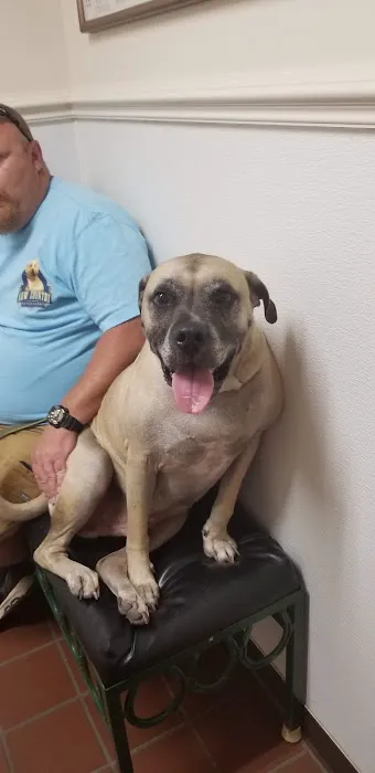 Altman Animal Hospital 7
