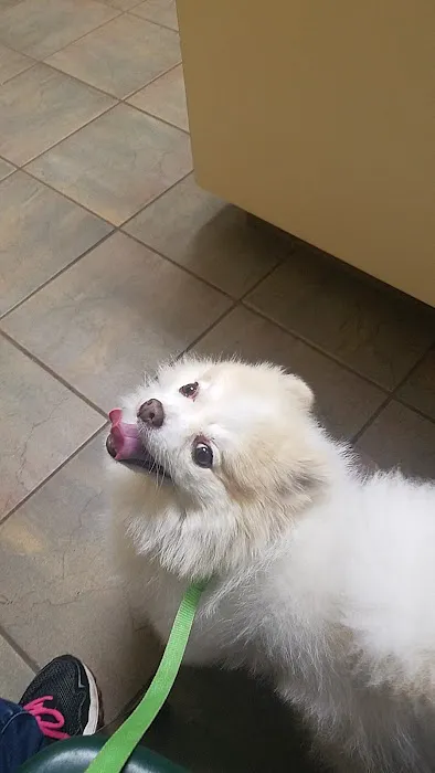 Baird's Animal Hospital 6