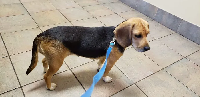 Baird's Animal Hospital 5