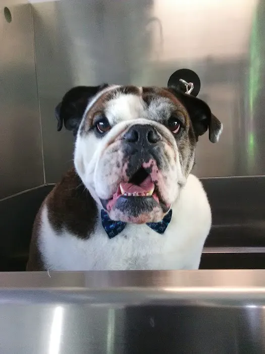 Southeastern Veterinary Hospital Pa 6