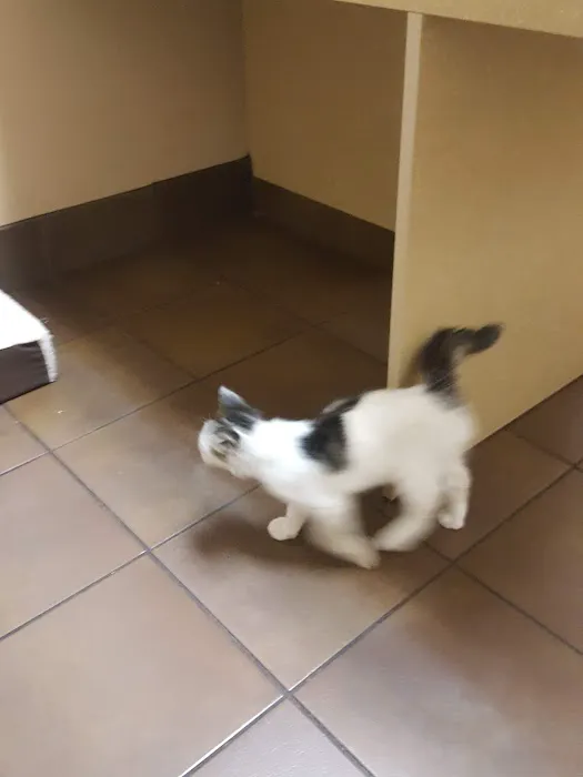 Front Porch Veterinary Clinic 5