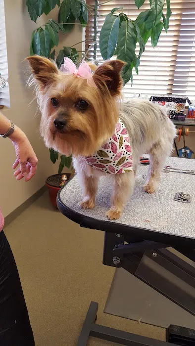 Front Porch Veterinary Clinic 10
