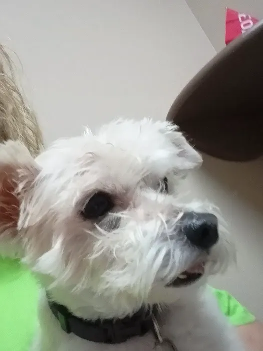 Front Porch Veterinary Clinic 6
