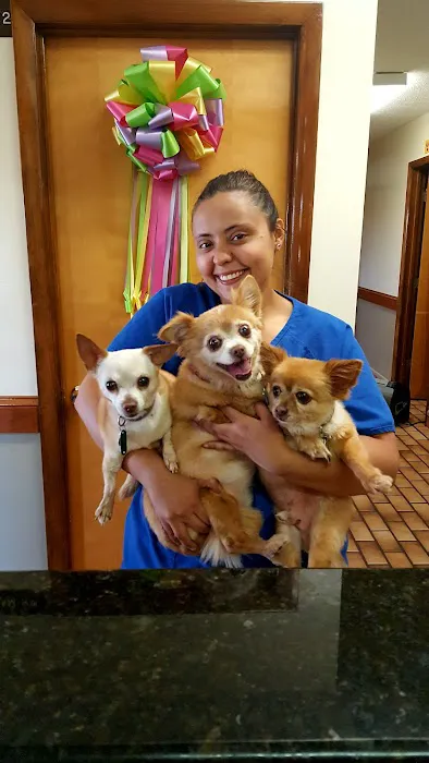 Pembroke Veterinary Hospital 6