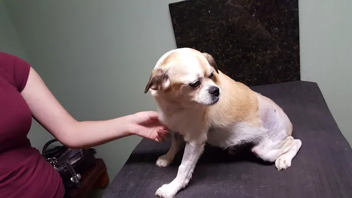 Pembroke Veterinary Hospital 7