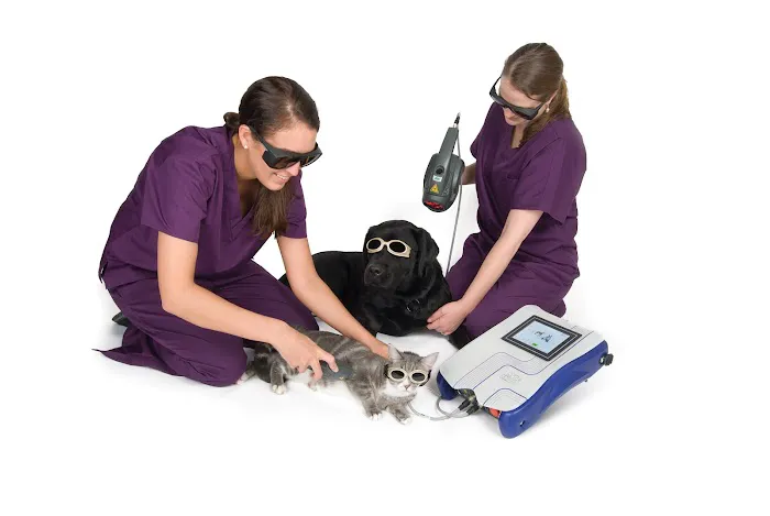 Wiley Ford Animal Clinic 3