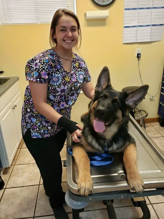 Wiley Ford Animal Clinic 2