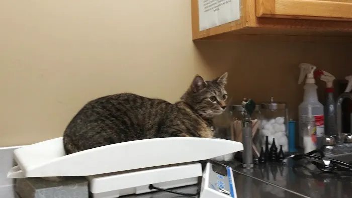 Western Maryland Animal Hospital 4