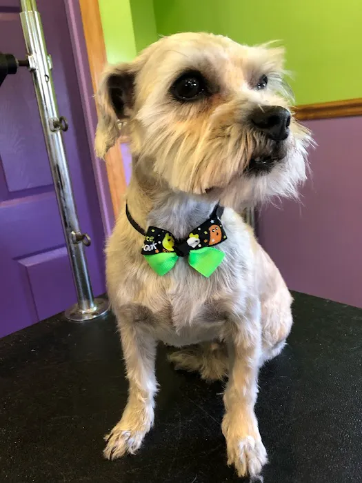 Western Maryland Animal Hospital 5
