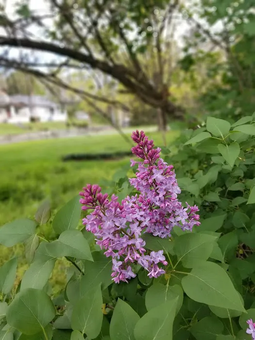 Western Maryland Animal Hospital 1