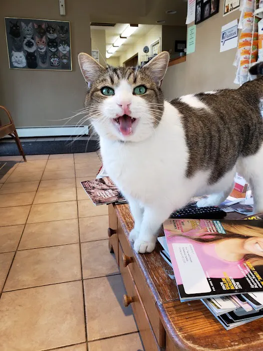 Western Maryland Animal Hospital 9
