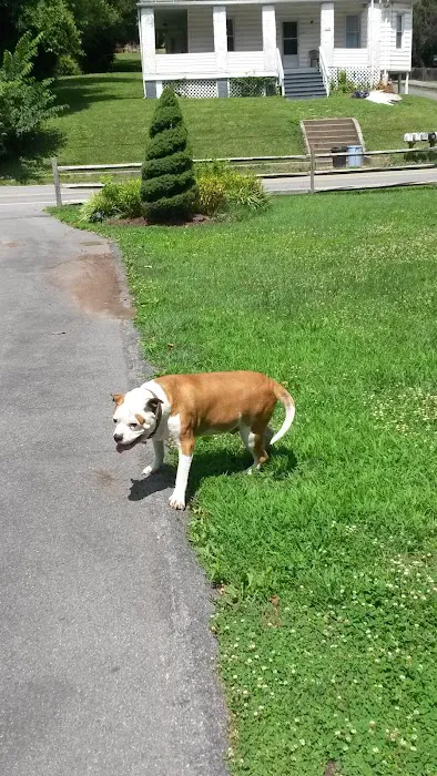 Western Maryland Animal Hospital 8