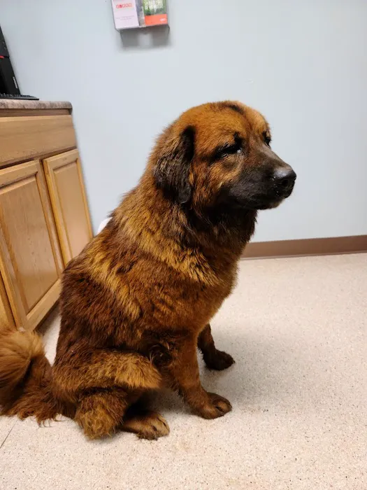 Mountainview Veterinary Services 1