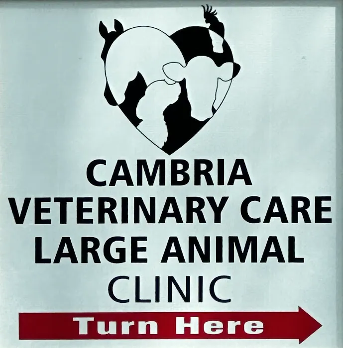 Cambria Veterinary Care Large Animal 5