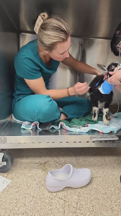 Cambria Veterinary Care Large Animal 1