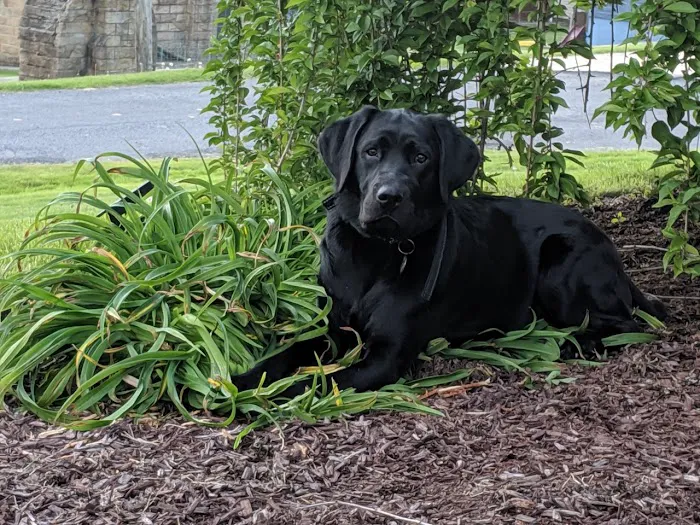 Cambria Veterinary Care 10