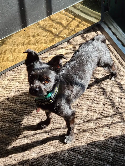 Cambria Veterinary Care 5