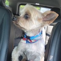 Countryside Animal Health - Smicksburg ico