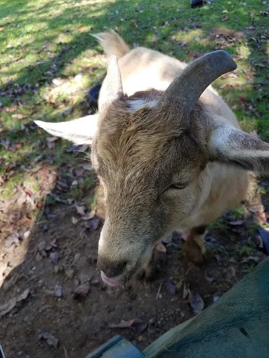 Countryside Animal Health - Smicksburg 2