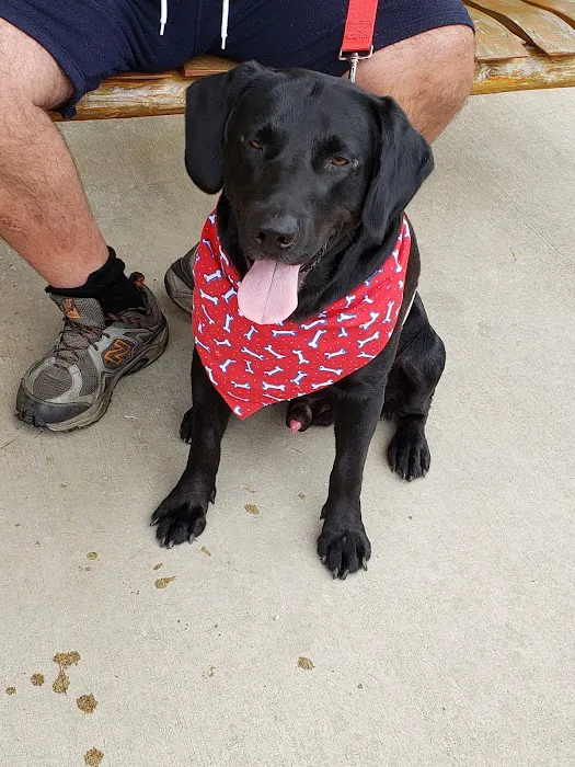 Countryside Animal Health - Smicksburg 10