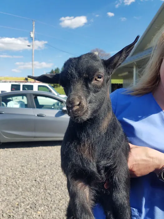 Countryside Animal Health - Smicksburg 8