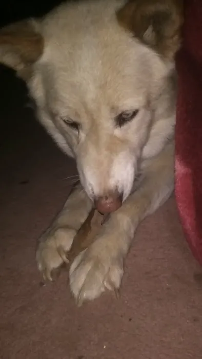 Almond Veterinary Hospital 2