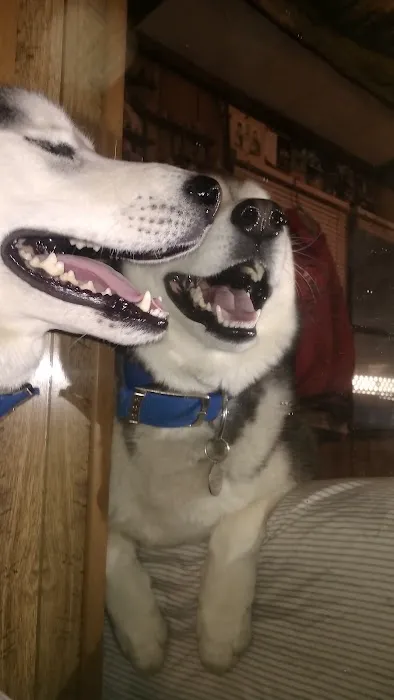 Almond Veterinary Hospital 9