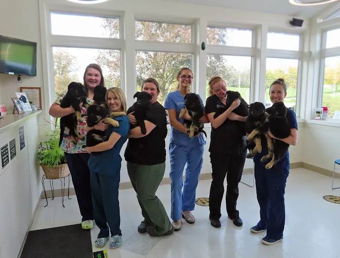 Dansville Animal Hospital 6