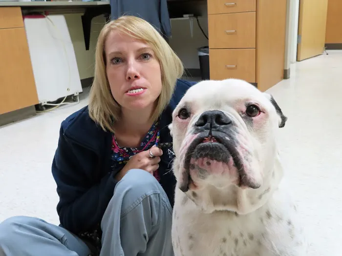 Dansville Animal Hospital 8