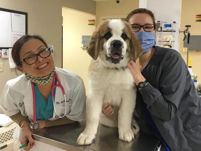 Dansville Animal Hospital 4