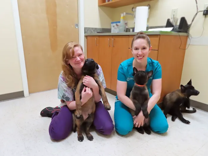 Dansville Animal Hospital 3