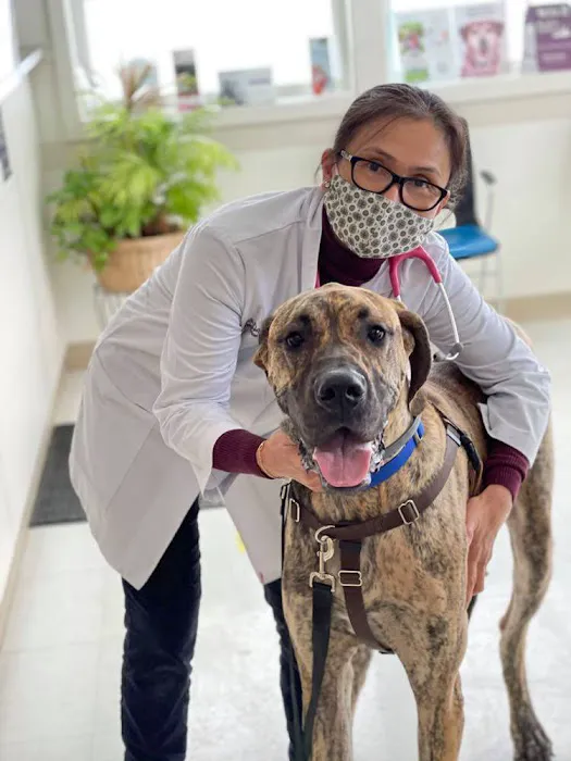 Dansville Animal Hospital 9