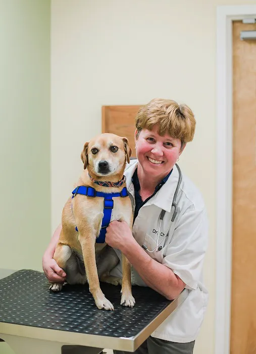 Dansville Animal Hospital 2