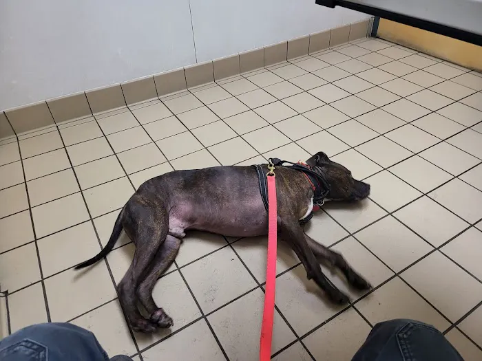 Perry Veterinary Clinic 10